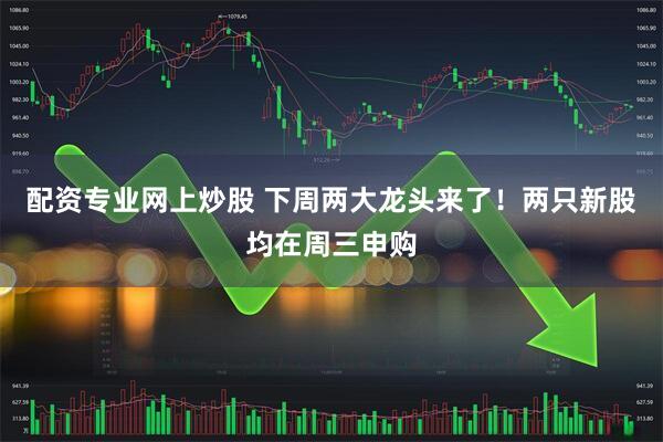 配资专业网上炒股 下周两大龙头来了!两只新股均在周三申购